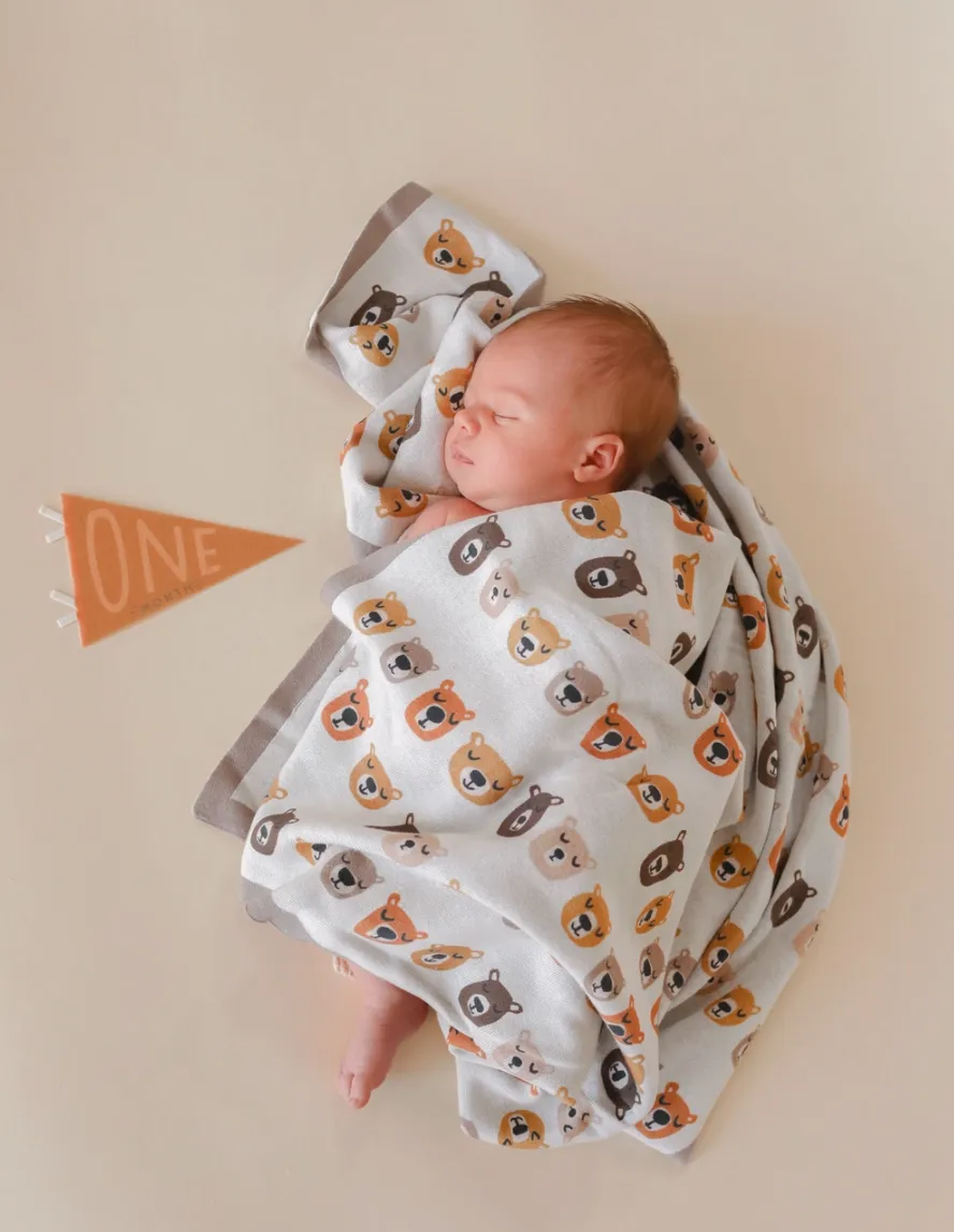Petit Baby Milestone Pennants - 2 Colors Available