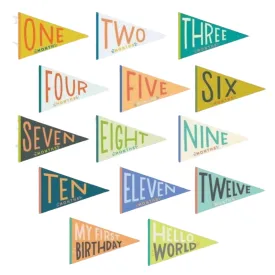 Petit Baby Milestone Pennants - 2 Colors Available