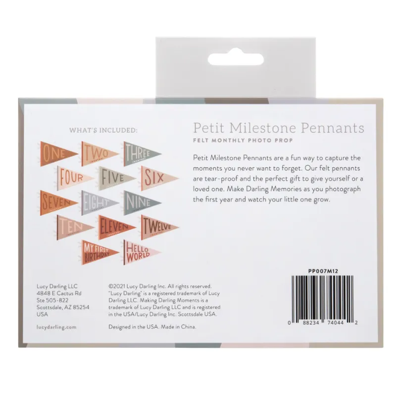 Petit Baby Milestone Pennants - 2 Colors Available