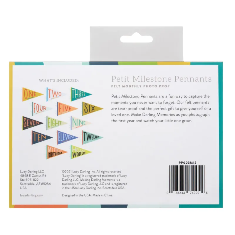 Petit Baby Milestone Pennants - 2 Colors Available