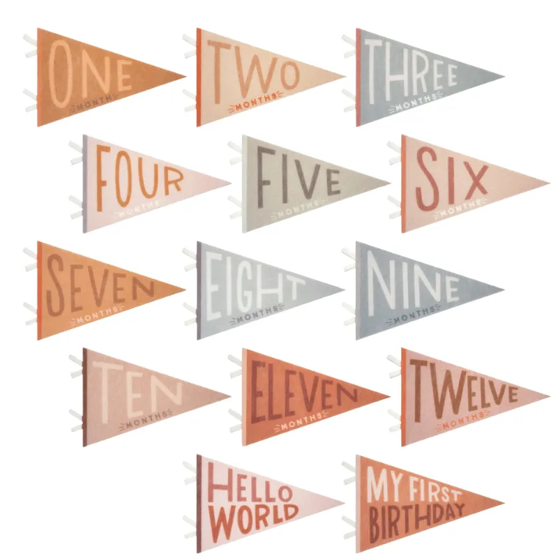 Petit Baby Milestone Pennants - 2 Colors Available