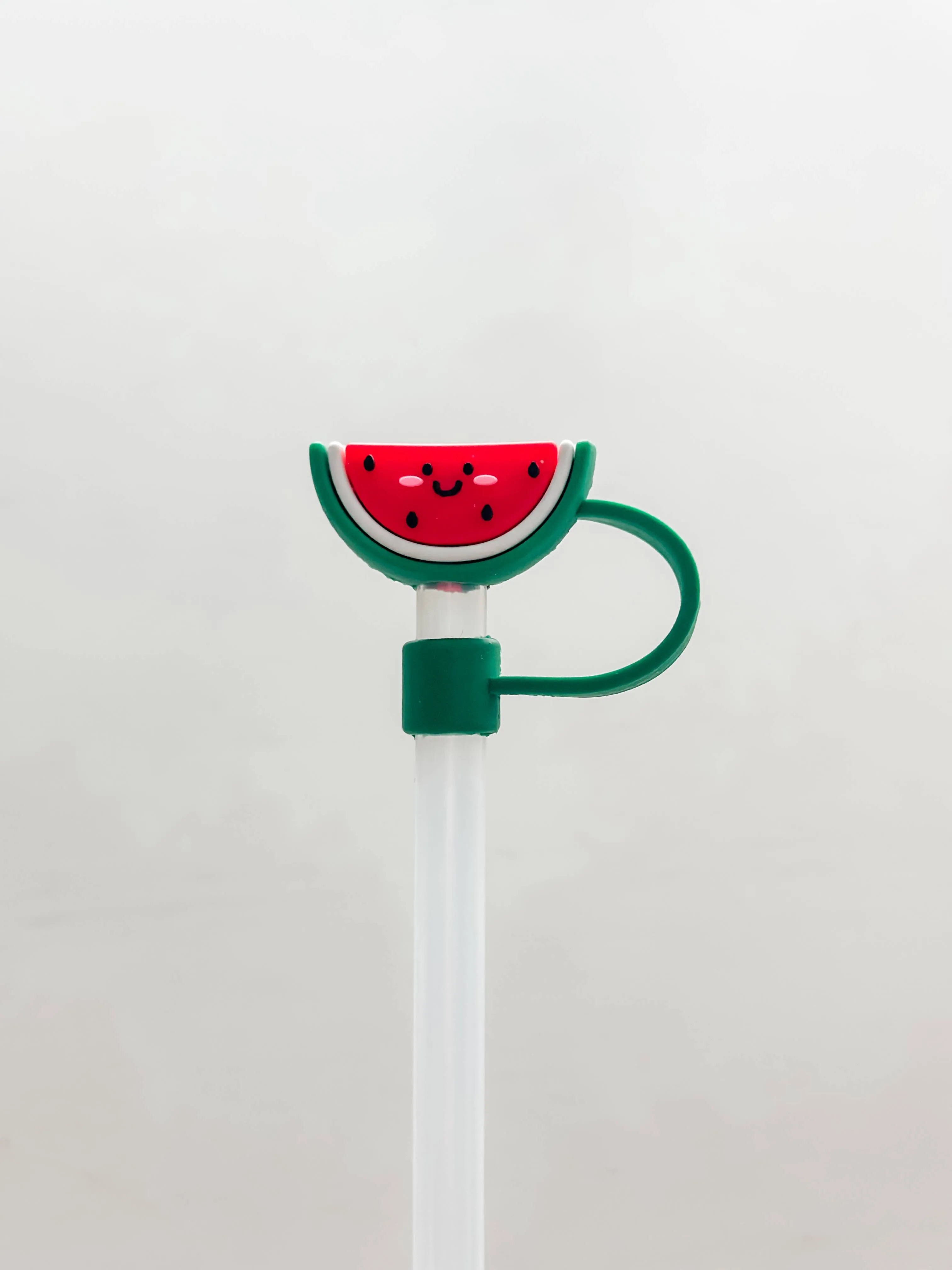 Straw Cover "Watermelon"