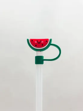 Straw Cover "Watermelon"